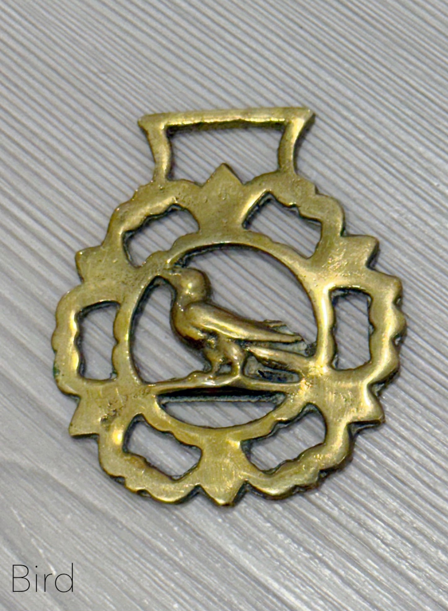 Equestrian Brass