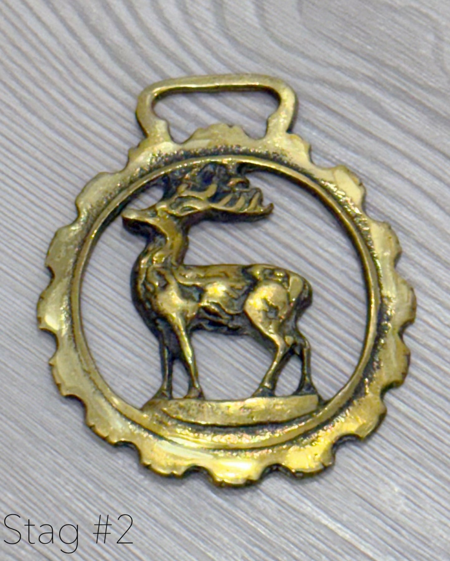 Equestrian Brass