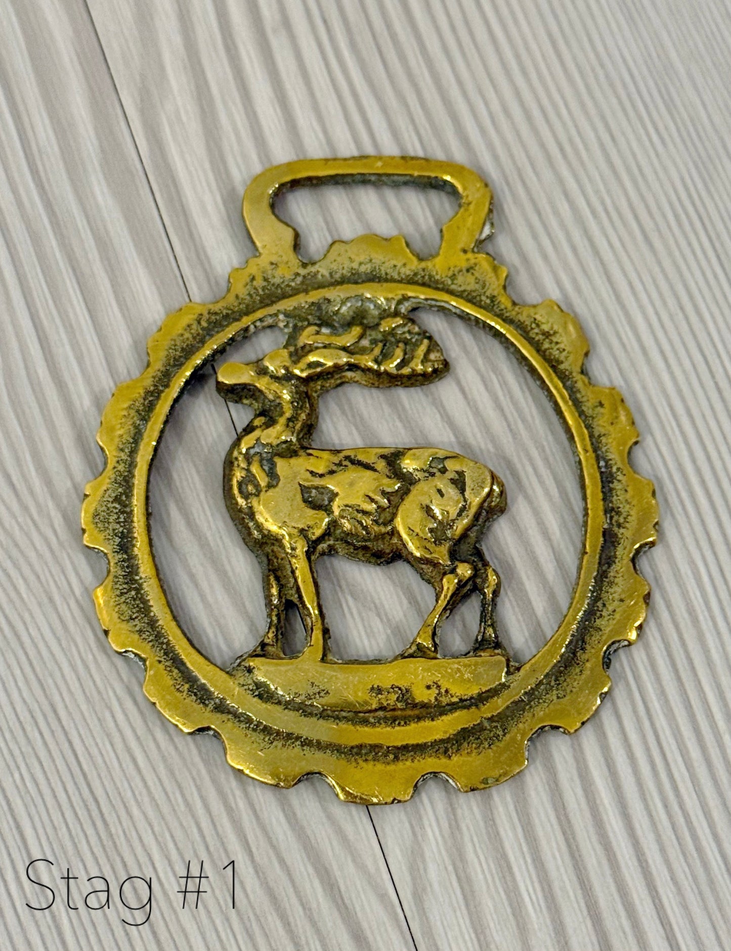 Equestrian Brass