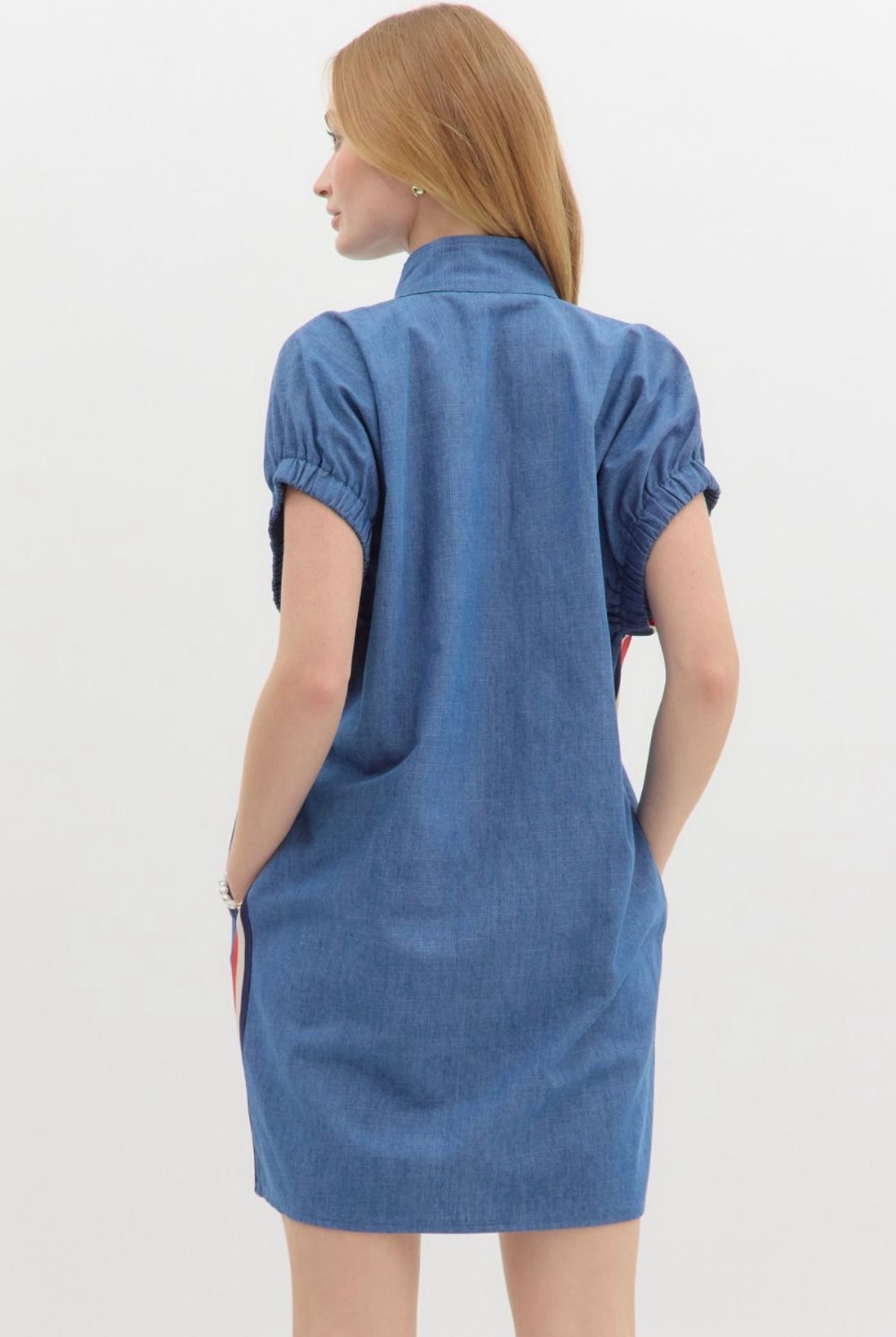 Collar Detail Dress